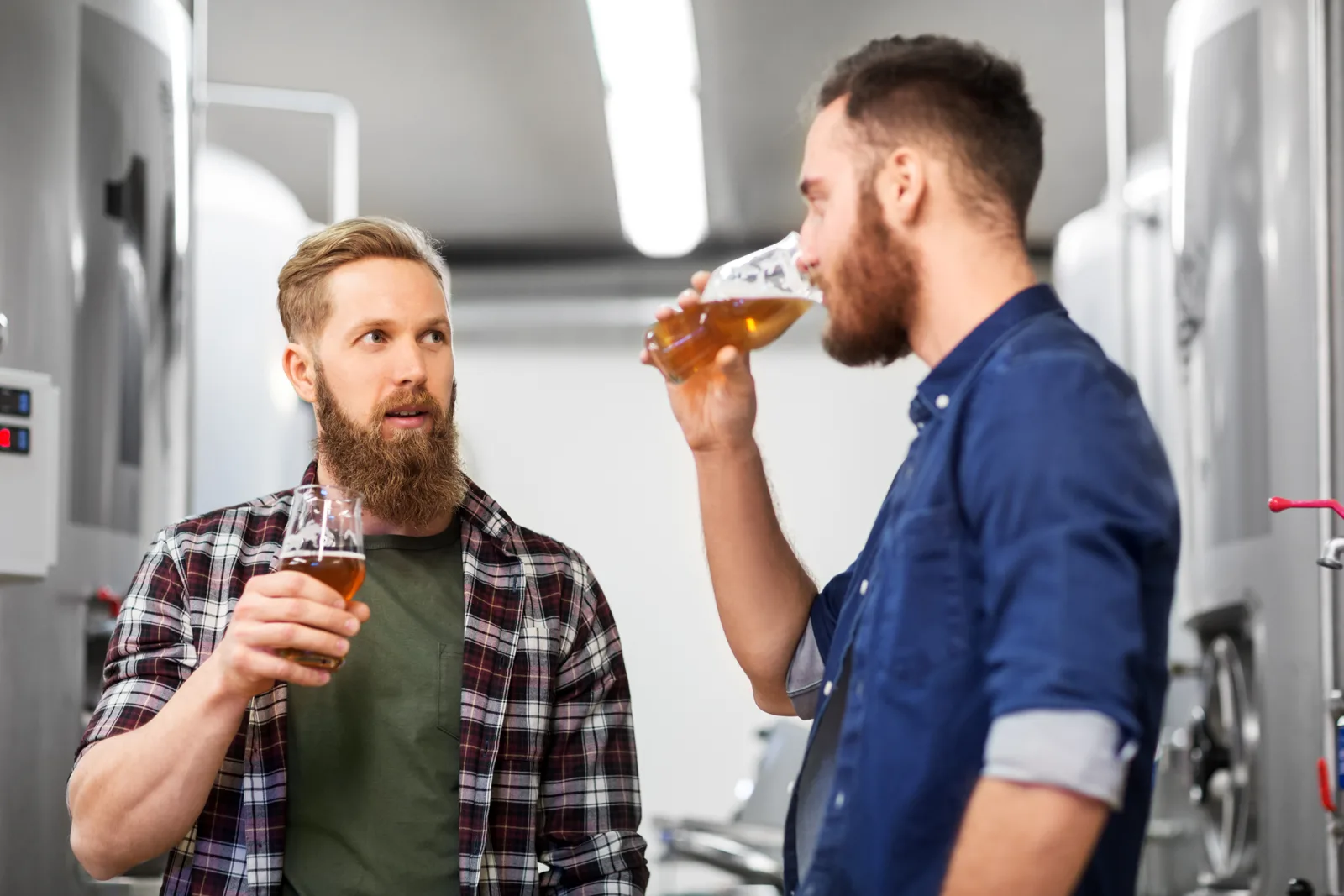 Beer tasting & brewery tour in Amsterdam